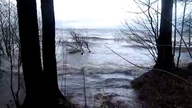 baLtic stoRm (360p-hQ) шторм на Балтике Осенней в Лахте (Lahta, Pietari ) смотреть онлайн
