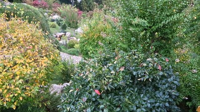 ЯПОНСКИЙ САД