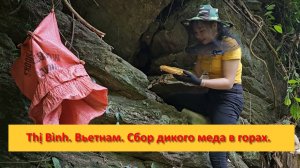 Thị Bình. Вьетнам. Сбор дикого меда в горах.