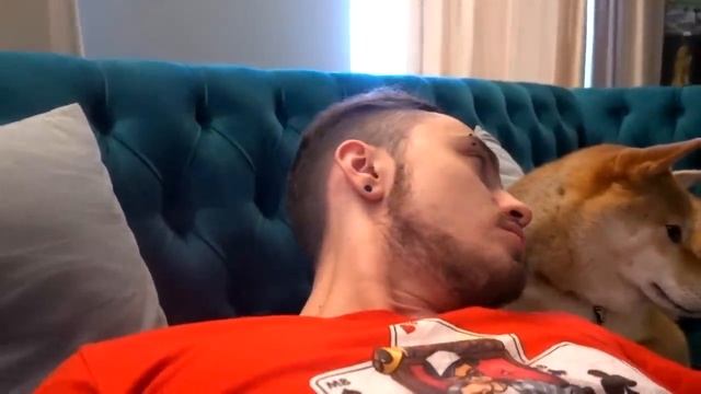 Купил самую смешную одежду для моей собаки! смотреть онлайн