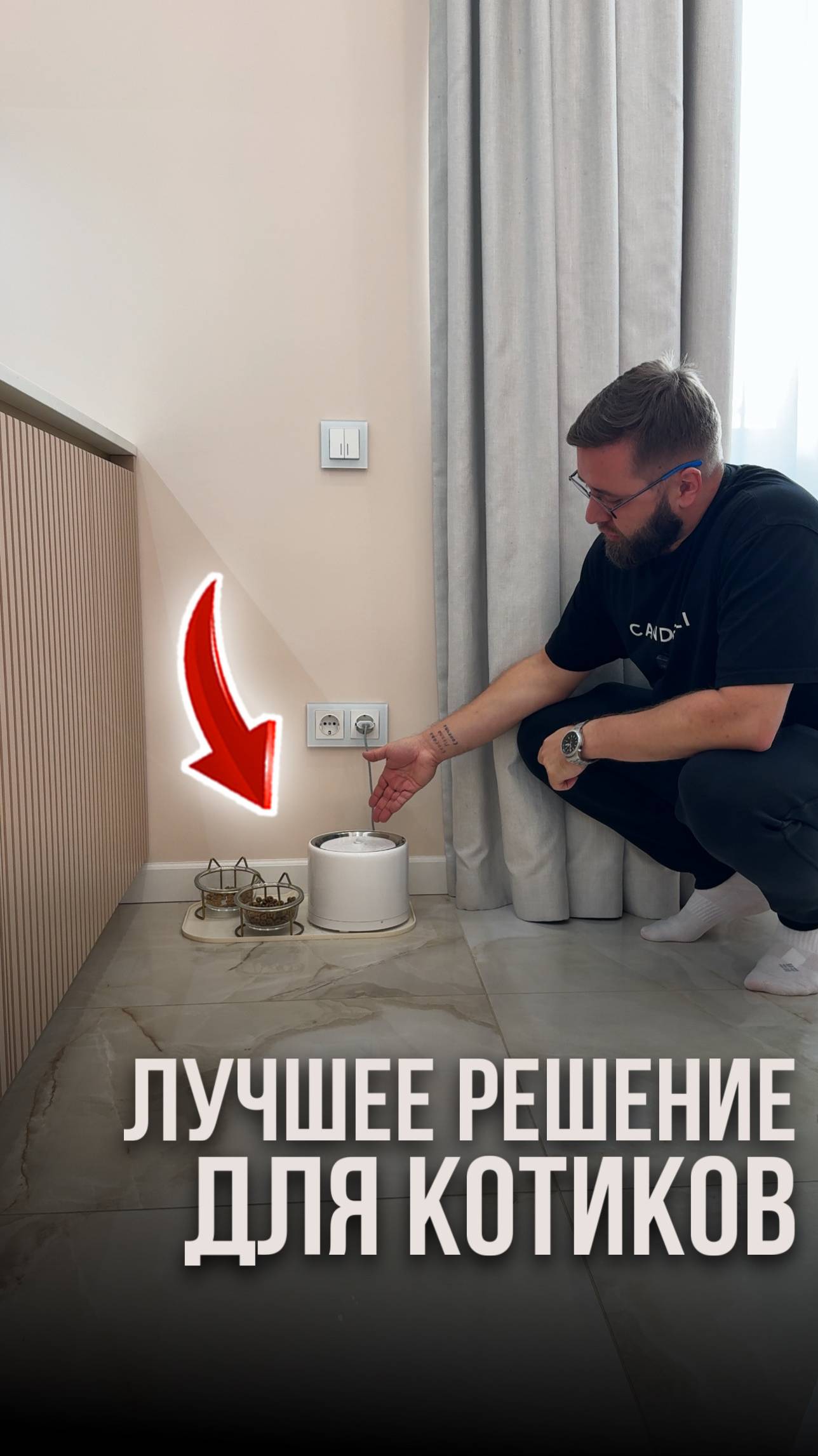 Лучшее решение для котиков смотреть онлайн