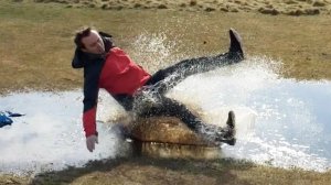 Я ржал до слез 😂 5 Минут смеха 2025 Смешные видео Лучшие Лютые ПРИКОЛЫ Октября! Подборка