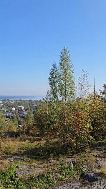 Карелия. Медвежьегорск. Гора Лысуха. Karelia. Medvezhyegorsk. Mount Lysukha смотреть онлайн