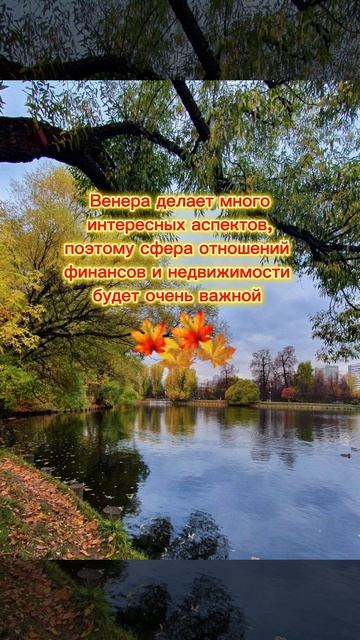 #Астрологический_прогноз на неделю с 13 по 19 октября