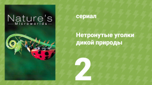 Нетронутые уголки дикой природы 2 серия «Серенгети» (документальный сериал, 2012)
