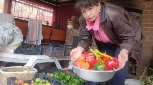 Прибираю урожай. Встречаю мужа. Готовлю все то, что он любит. Жизнь семьи в деревне.