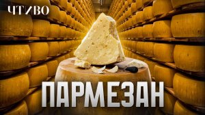 Почему пармезан такой дорогой: 1000-летняя история сыра / История еды / ЧТИВО