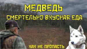 Медведь. Смертельно вкусная еда. Как не пропасть