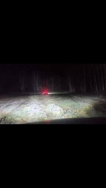 Шашлык, Сузуки , нива, лес , поля.