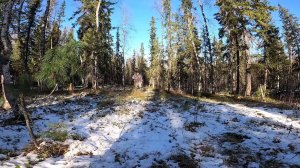 Идеальная охота.