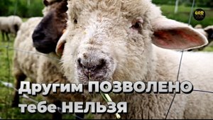 Другим ПОЗВОЛЕНО тебе НЕЛЬЗЯ | НОВАЯ 2025 Христианская песня