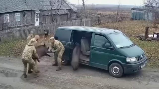 Нейросети сказали сгенерировать бусификацию Украинцев. смотреть онлайн