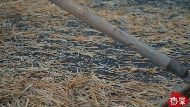 Метод извлечения масла. Весь процесс производства пищевого масла в древности смотреть онлайн