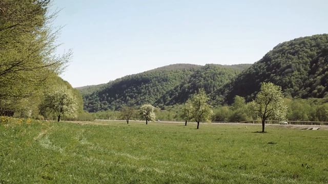 2017_Кавказ великолепный смотреть онлайн