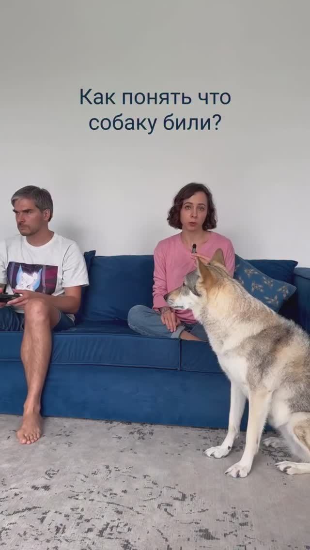 Проводите тест 😂 смотреть онлайн