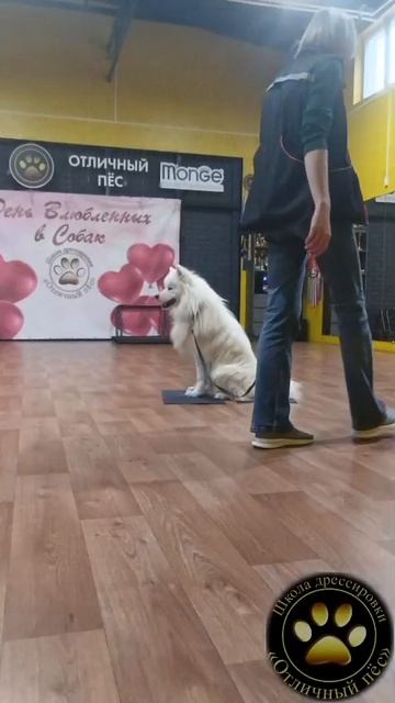 Умка и Светлана.  Осень  2025