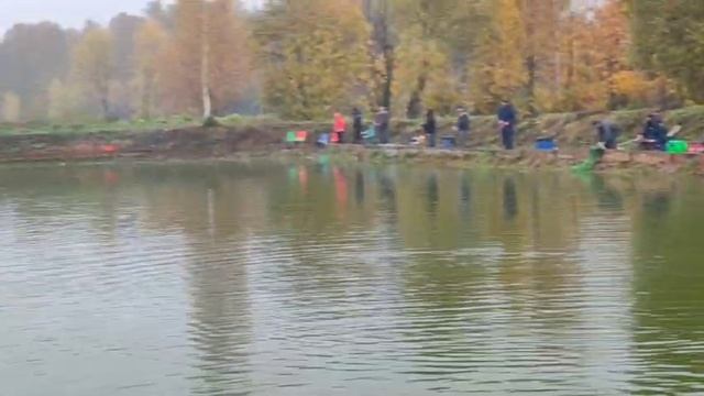 WhatsApp Video 2025-10-11 at 10.58.16 смотреть онлайн