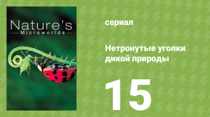 Нетронутые уголки дикой природы 15 серия «Насекомые. Создание миров» (документальный сериал, 2012)