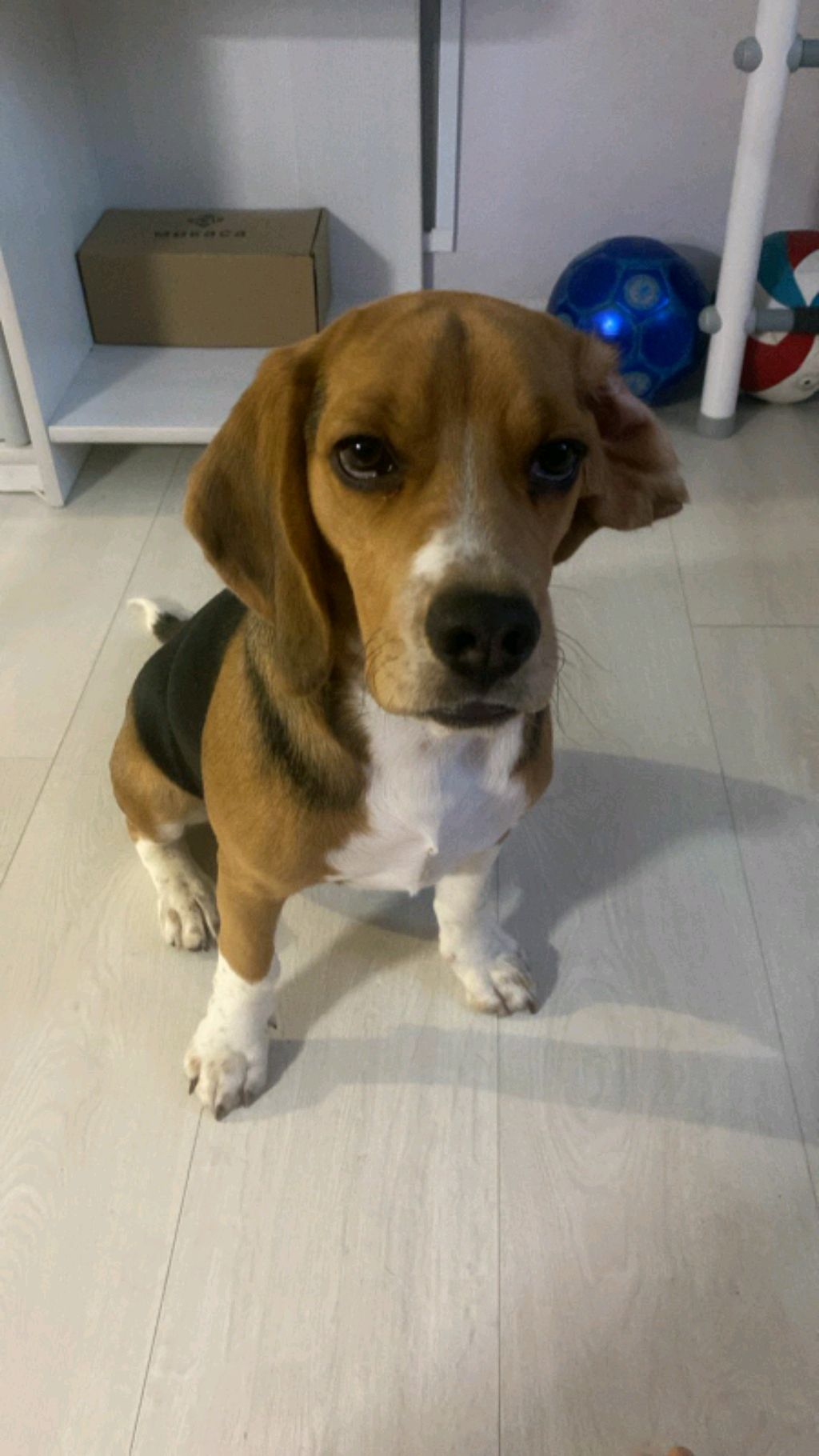 о себе смотреть онлайн