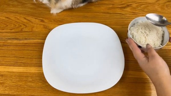 Удивительный цифровой цирк