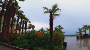 Жизнь на море / Ялта