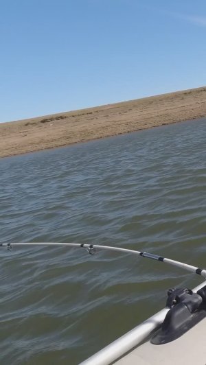 Какой загиб! Щука на троллинг.