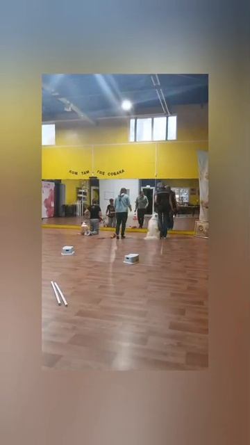 Сентябрь 2025 .  Бодрый ролик про бодрое занятие.