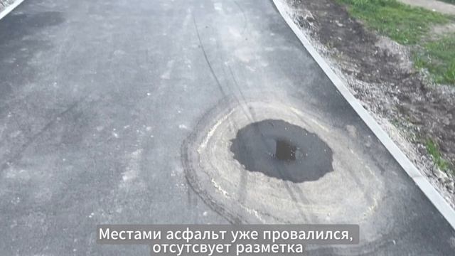 «Экорадар» на проспекте Славы: где велодорожка — там и пешеходы (вынужденно)