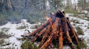 Костер в заснеженном лесу 4К