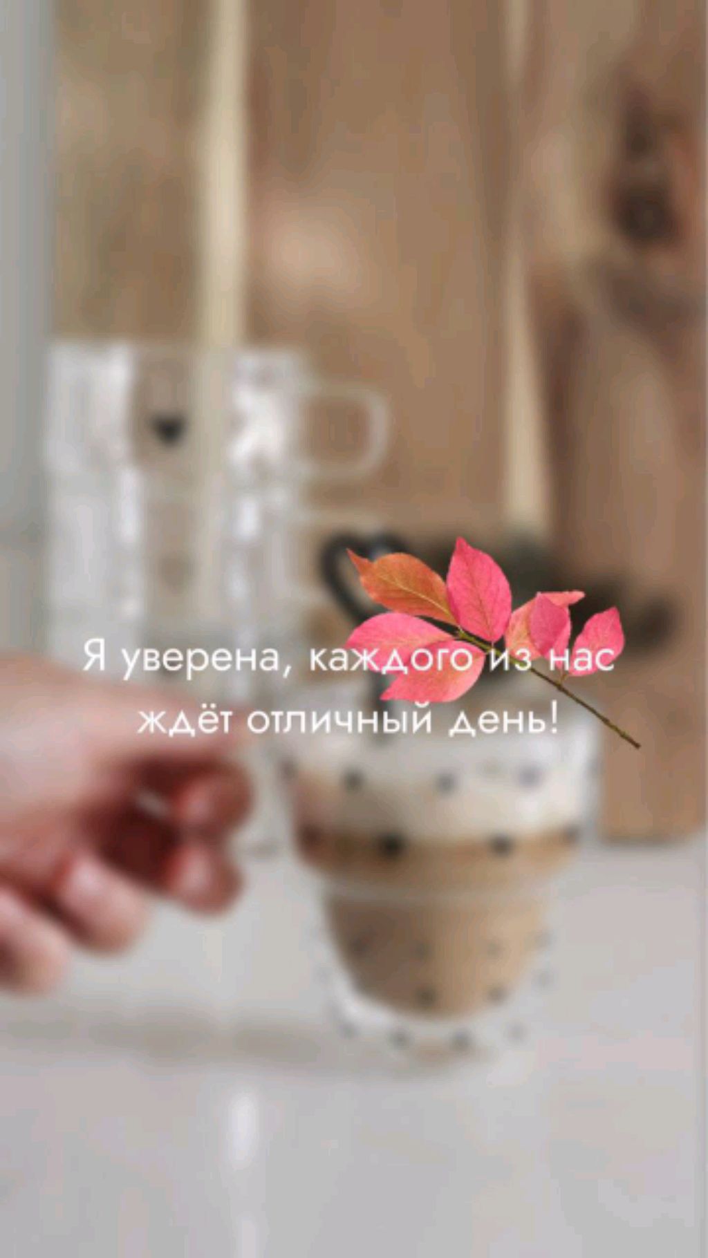 Прямой эфир Фаберлик