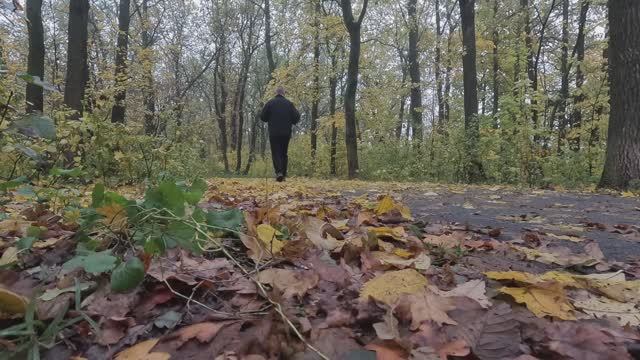 В городе Строитель осень