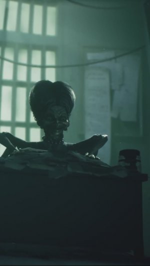 Пауки они такие!#shorts