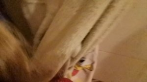 VID_20251011_134702.mp4