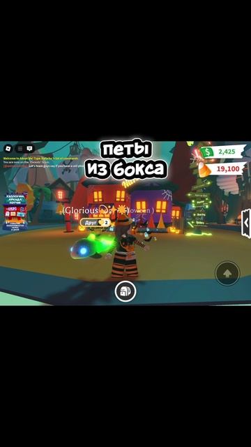 New Pets!! 2 Week. Halloween!