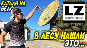 Катали по лесу и нашли это