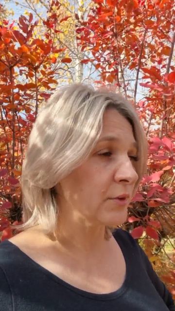 когда опаздываешь, скажи это...