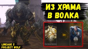 ИЗ ХРАМОВНИКА В ВОЛКА! Это ЛУЧШИЙ ФАРМЕР АДЕНЫ в будущем ПАТЧЕ в Lineage 2 Project Wolf?