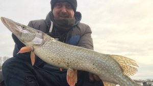 Два Заброса Две Щуки. Река Чарыш