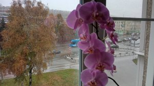 Я боюсь тебя потерять😢💔