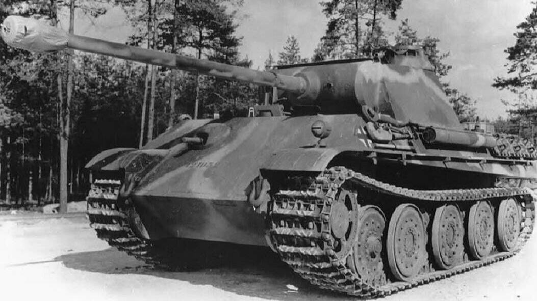 крайняя пантера-Panther А