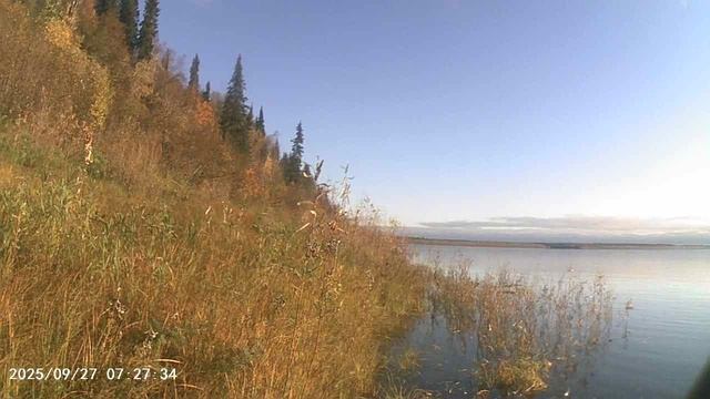 MOV00040 смотреть онлайн