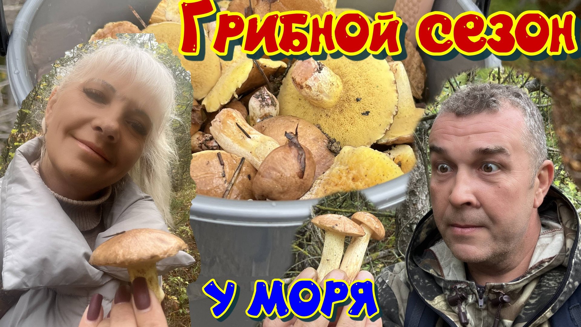 Грибной сезон в Краснодарском крае, собираем маслят смотреть онлайн