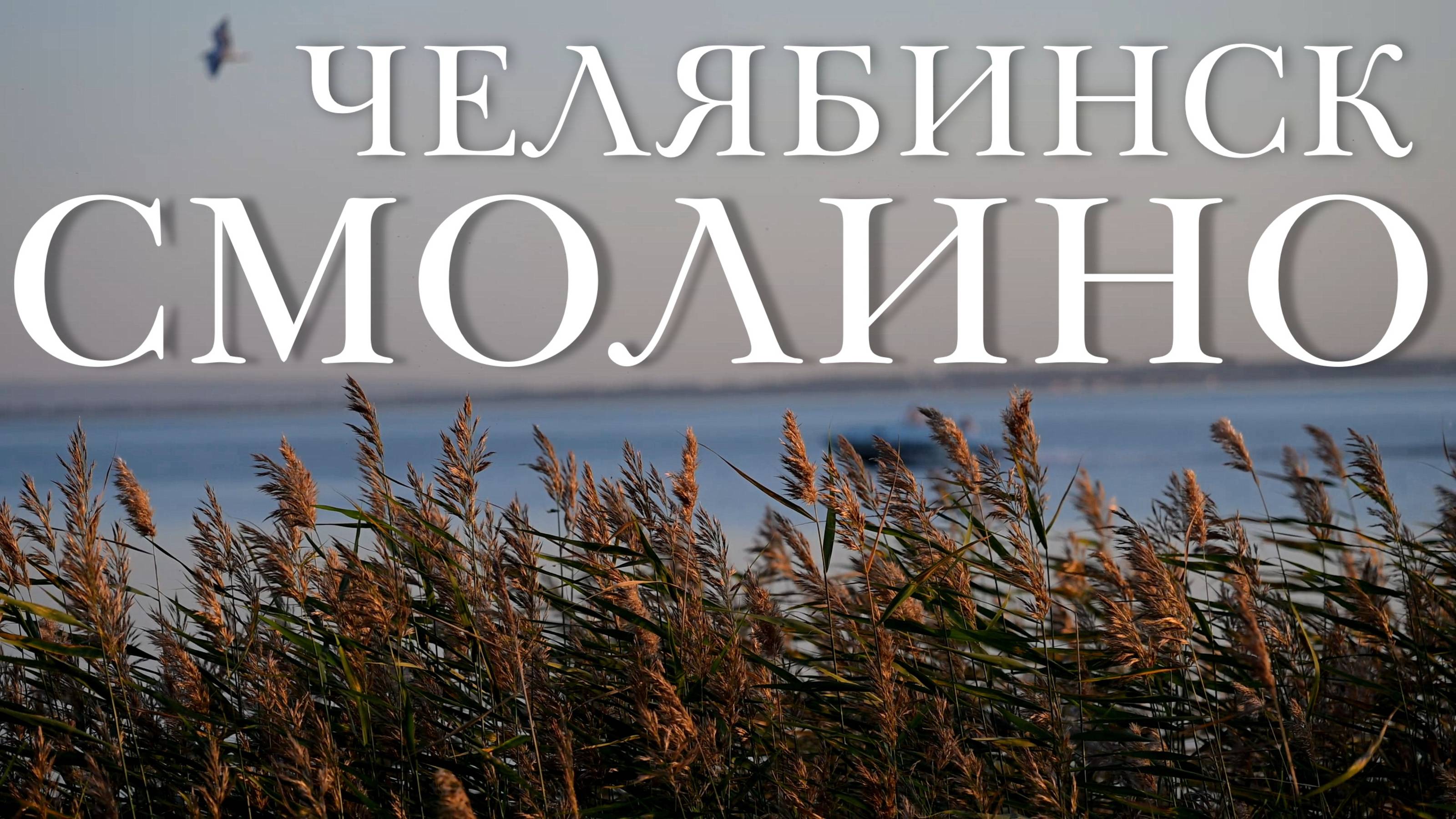 Челябинск. Вечер на озере Смолино (26.08.25) смотреть онлайн