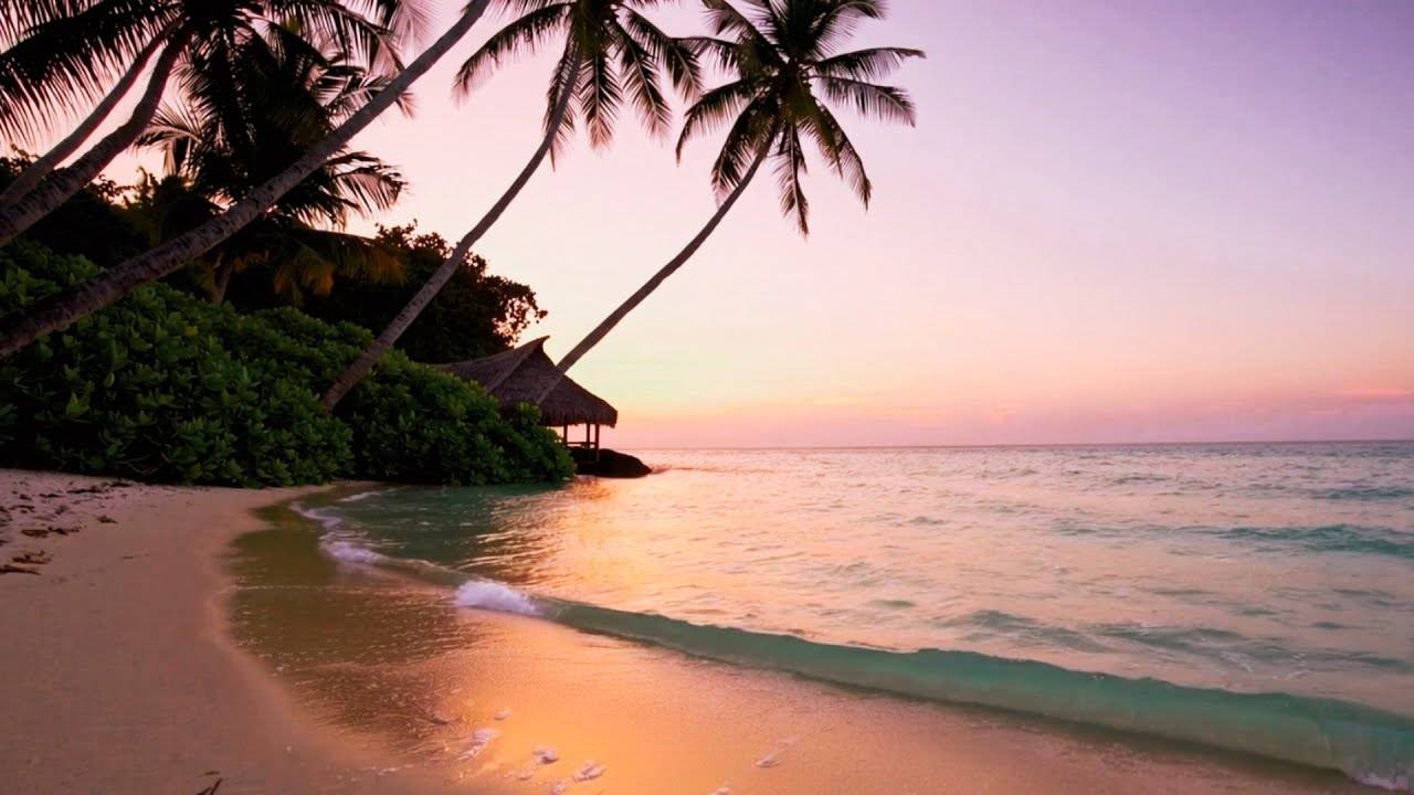 Dream Tropical Beach | 1 Hour of Chill Out Music смотреть онлайн