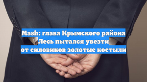 Mash: глава Крымского района Лесь пытался увезти от силовиков золотые костыли