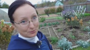 Видео привет с 6 соток 5 октября 2025 года.