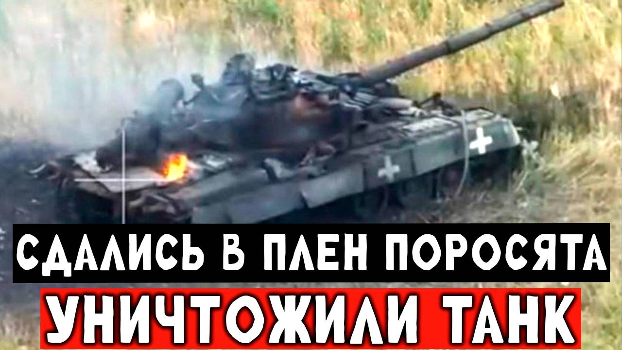 Реальная мясорубка, ЧЕРНЫЕ ГУСАРЫ подарили жизнь поросячьему экипажу танка, СВО смотреть онлайн