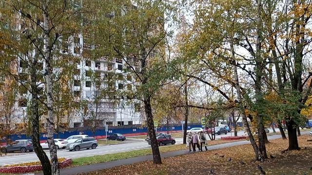 Кормление птиц запрещено в Перово (11.10.2025)