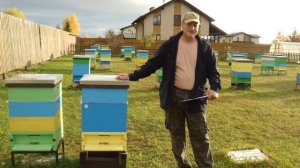 Обработка пчел Бипином. Ответы на комментарии.