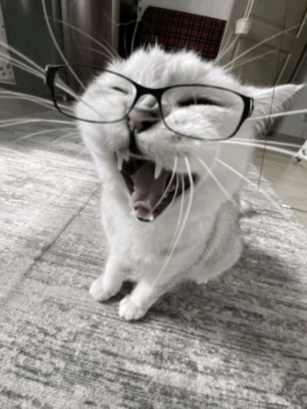 первый стрим смотреть онлайн